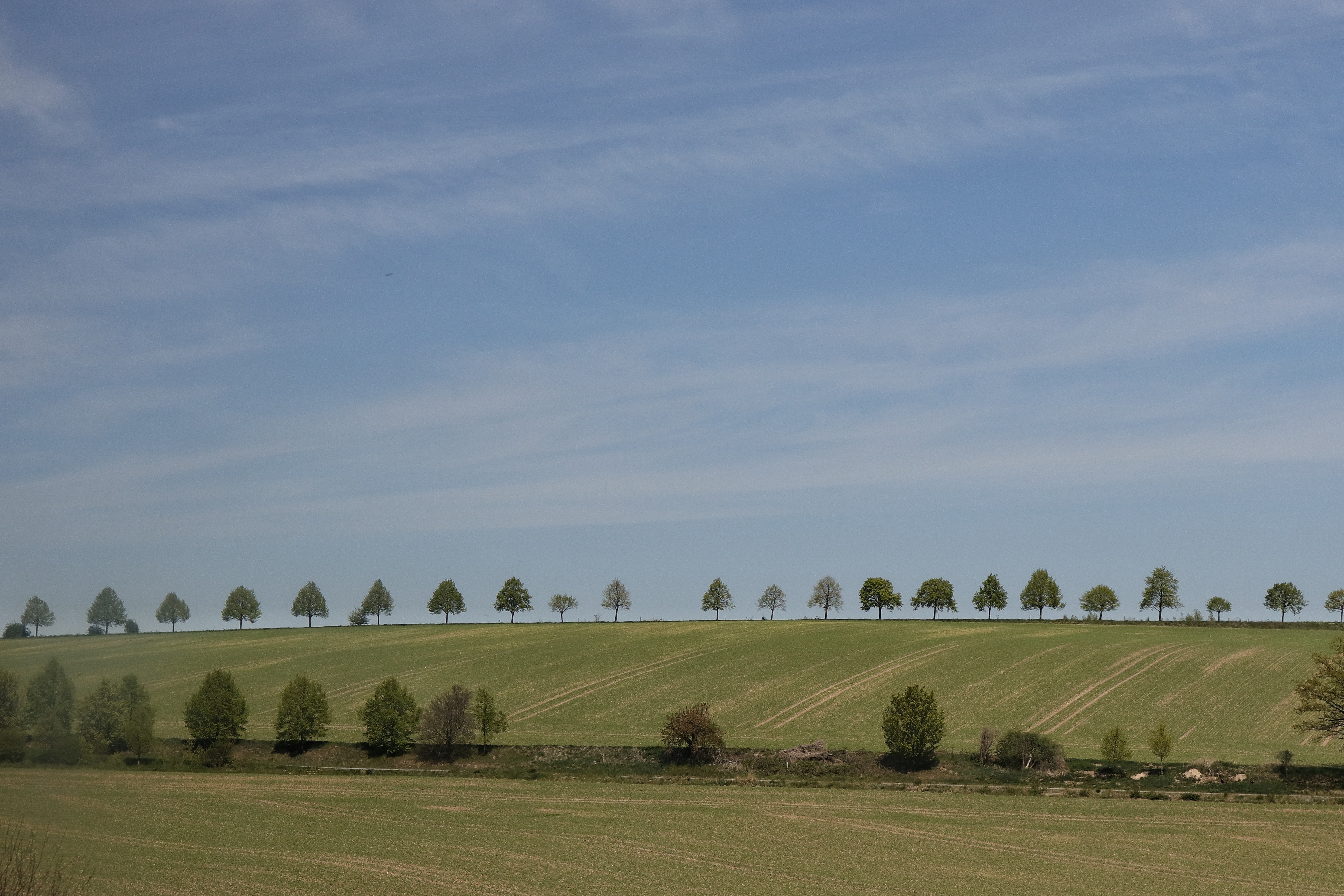 Landscapes of Memory Research