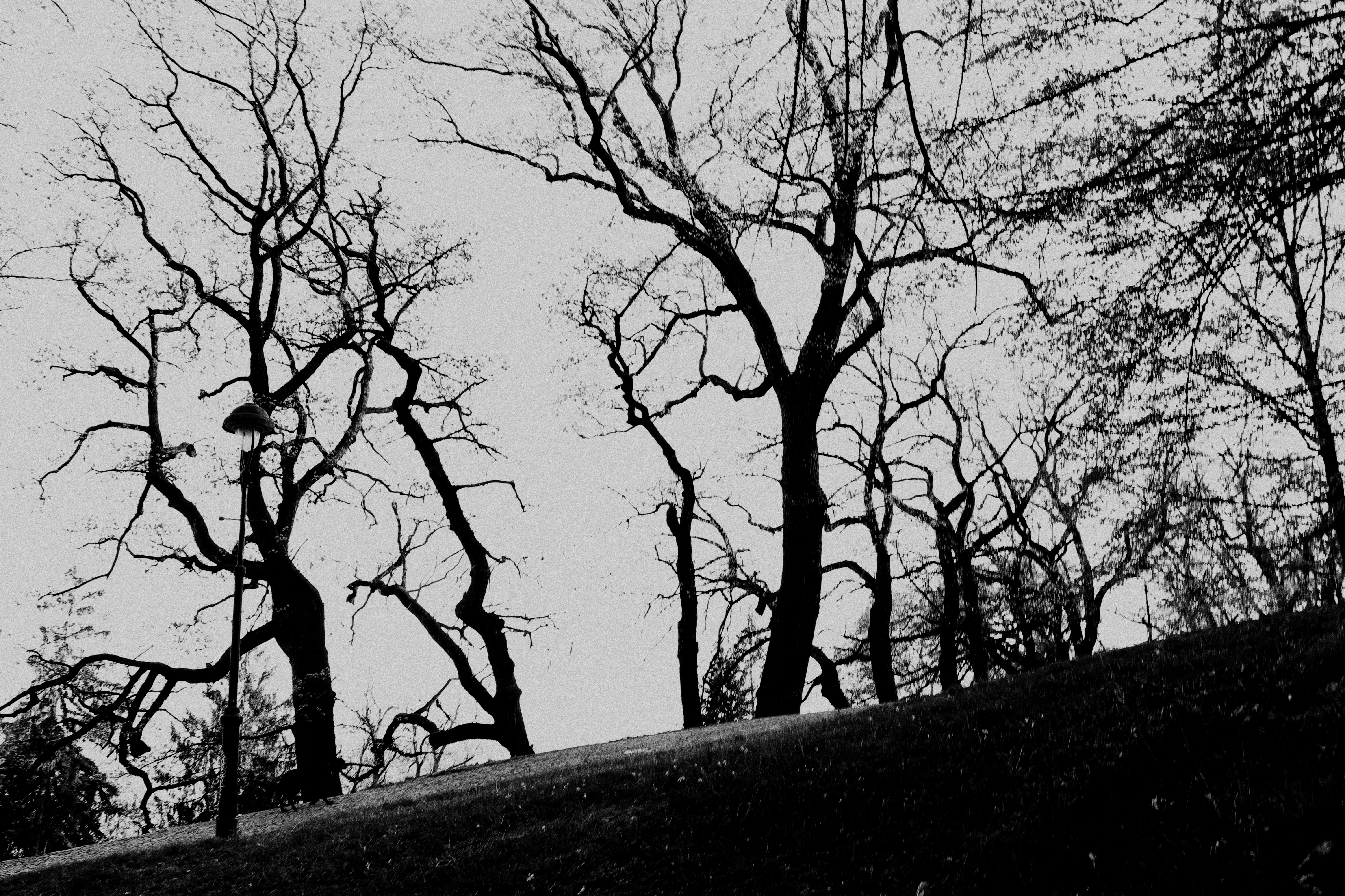 Landscapes of Memory